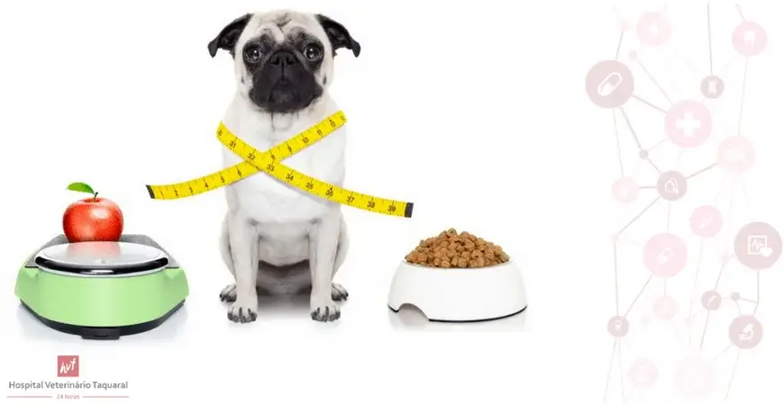 Um cachorro da raça pug envolto por uma fita métrica. De um lado, um prato cheio de ração e do outro uma balança com uma maçã em cima.